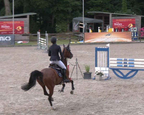 Reitturnier Klein Roscharden 2025