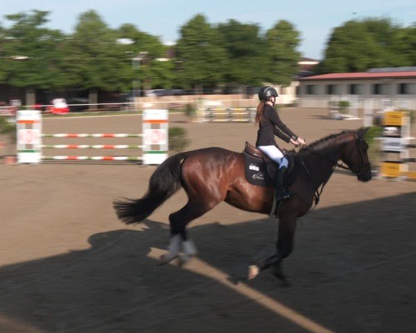 Reitturnier Kitzscher / Reitanlage Heuter 2025