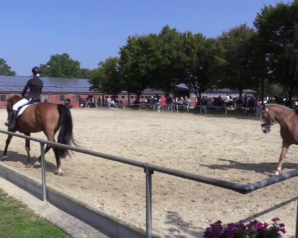 Reitturnier Ascheberg 2021