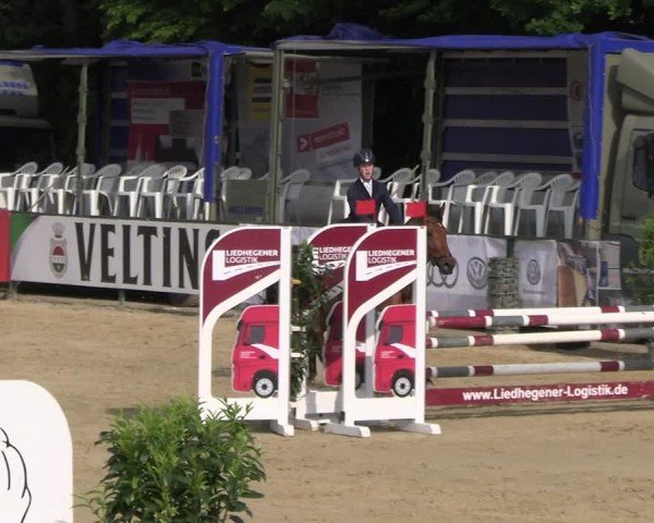 Reitturnier Hellefeld 2025