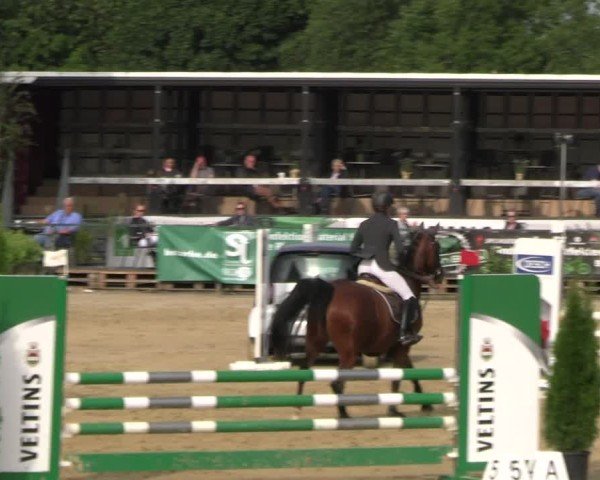 Reitturnier Hellefeld 2025
