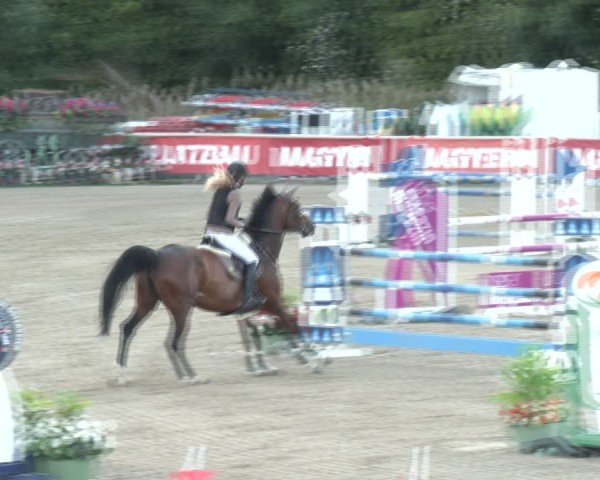 Reitturnier Lassee 2025