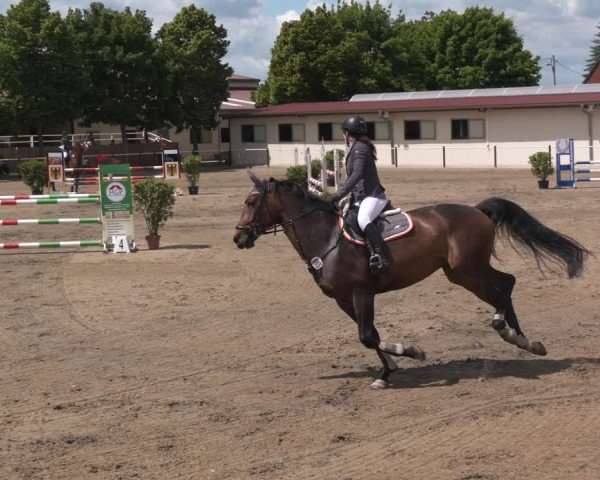 Reitturnier Kitzscher / Reitanlage Heuter 2025