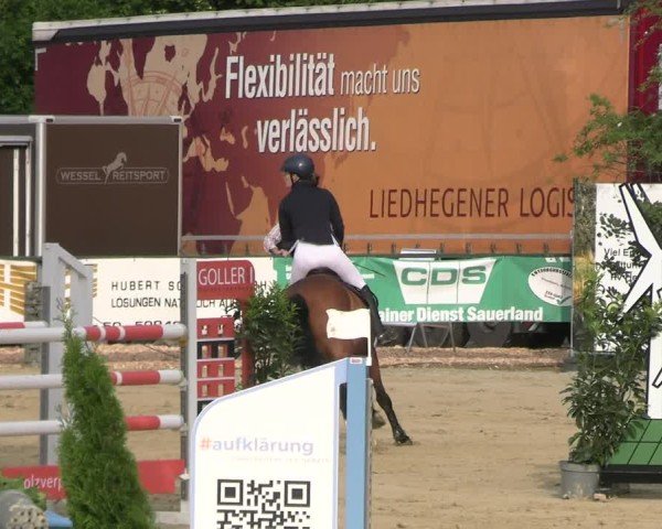 Reitturnier Hellefeld 2025