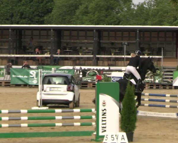 Reitturnier Hellefeld 2025