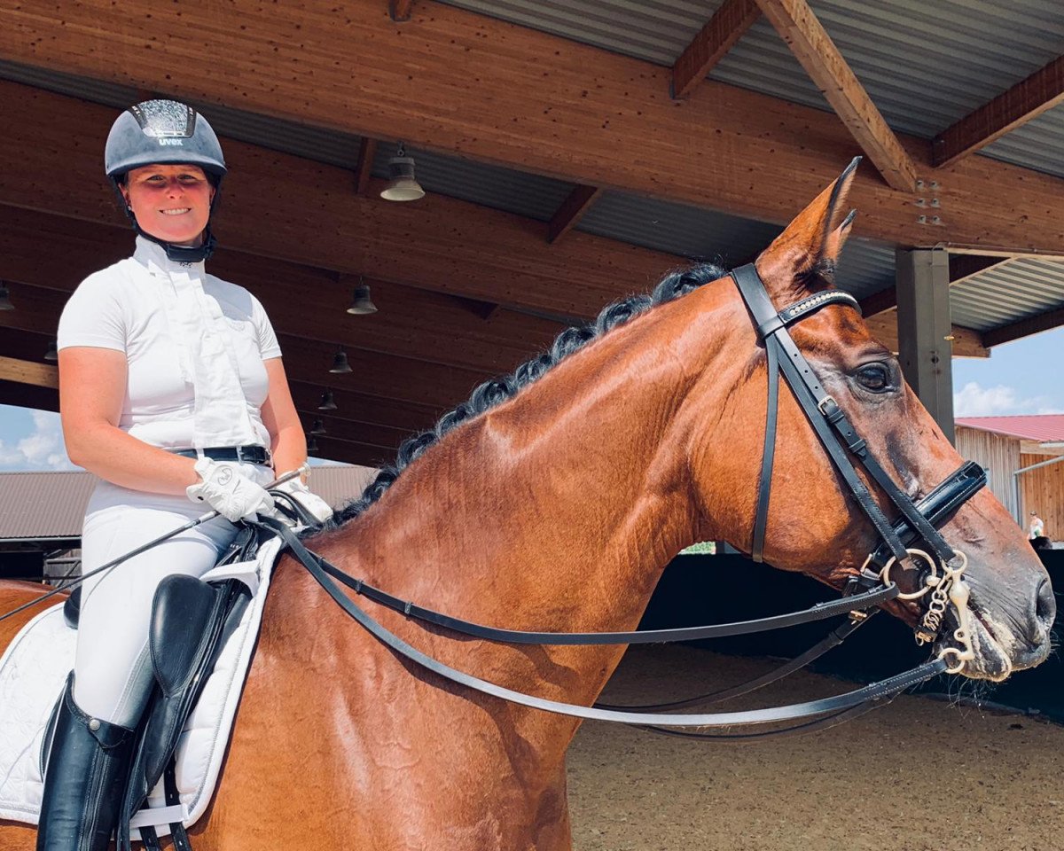 dressage horse Raseda (Bavarian, 2005, from Donnerschwee)