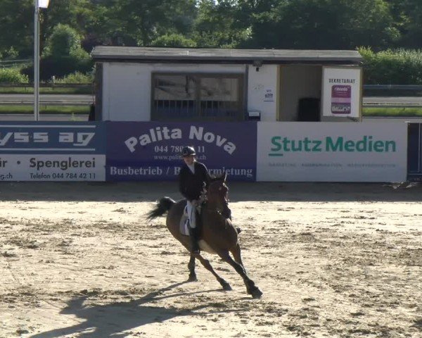 Reitturnier Wädenswil 2025
