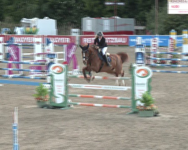 Reitturnier Lassee 2025