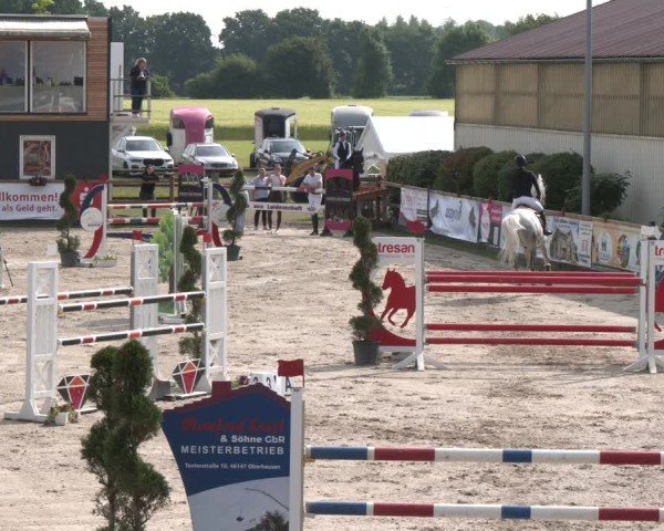 Reitturnier Kirchhellen/Stall Dieckmann 2025