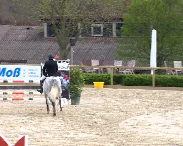 Damme 2014