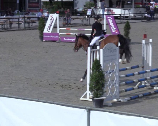 Reitturnier Hamm-Rhynern 2025