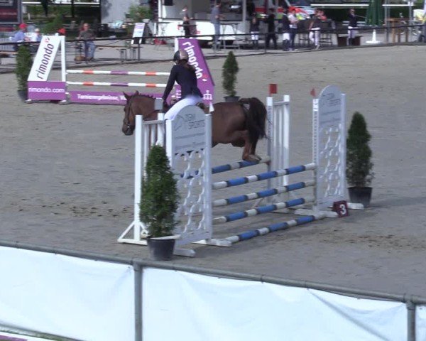 Reitturnier Hamm-Rhynern 2025