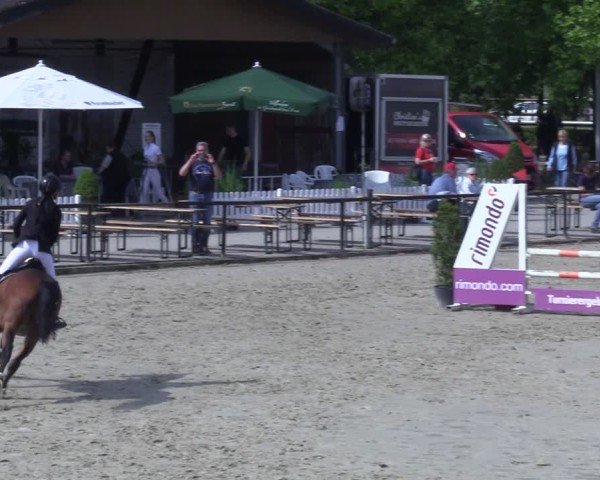 Reitturnier Hamm-Rhynern 2025