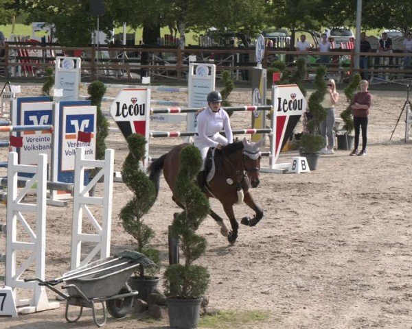 Reitturnier Kirchhellen/Stall Dieckmann 2025