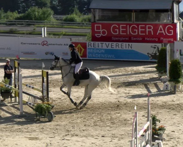 Reitturnier Wädenswil 2025