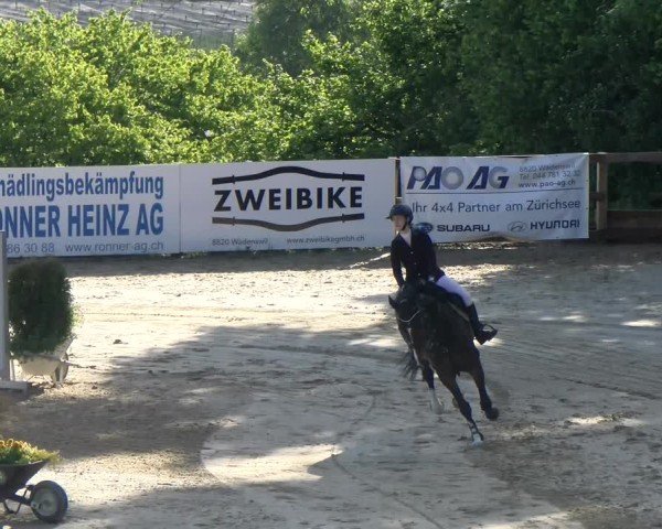 Reitturnier Wädenswil 2025