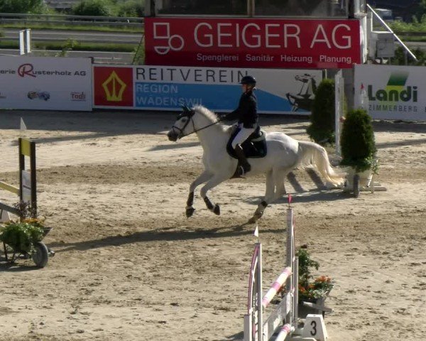 Reitturnier Wädenswil 2025