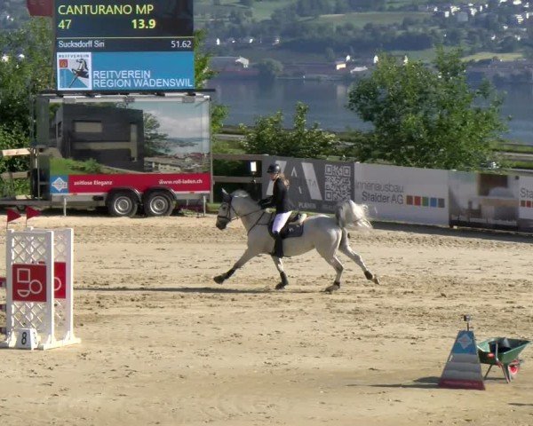 Reitturnier Wädenswil 2025