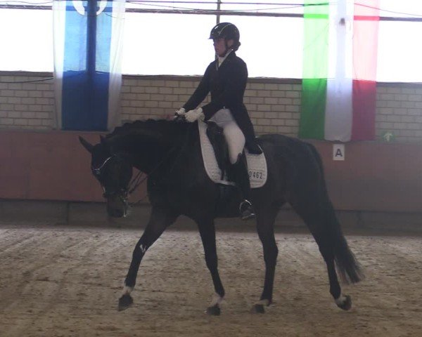 Reitturnier Hellefeld 2025