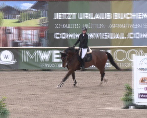 Reitturnier Lassee 2025