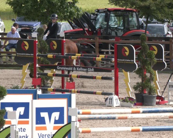 Reitturnier Kirchhellen/Stall Dieckmann 2025