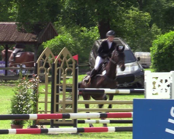 Reitturnier Scharnebeck 2025