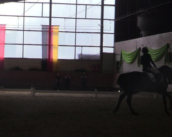 Reitturnier Hellefeld 2025
