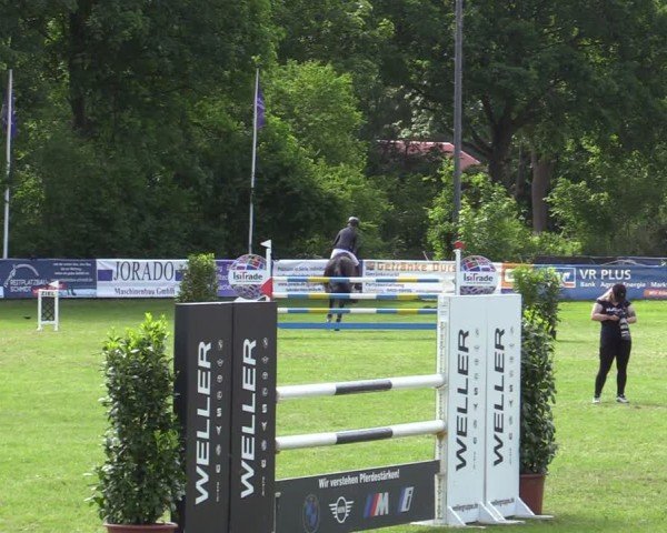 Reitturnier Scharnebeck 2025
