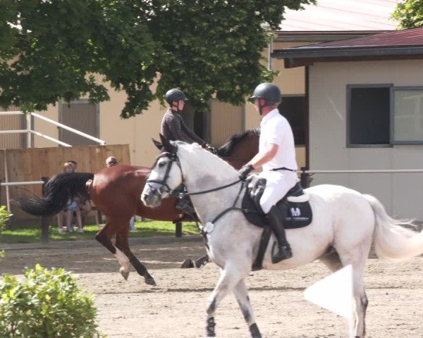Reitturnier Kitzscher / Reitanlage Heuter 2025