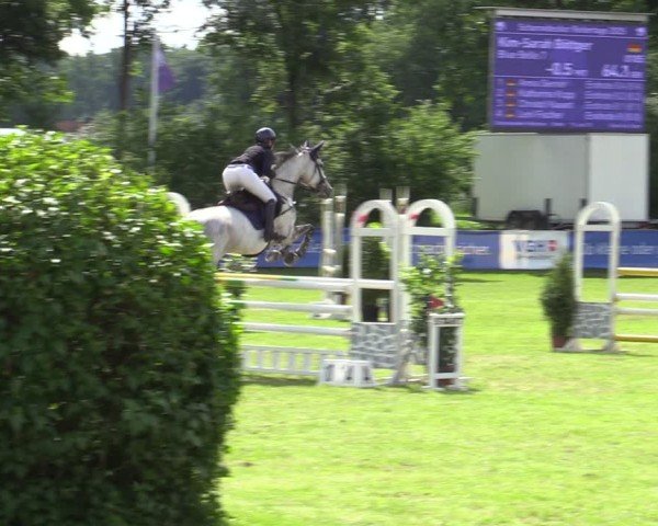 Reitturnier Scharnebeck 2025