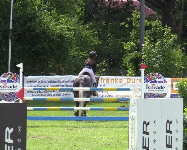 Reitturnier Scharnebeck 2025