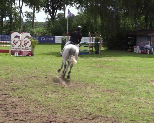 Reitturnier Scharnebeck 2025