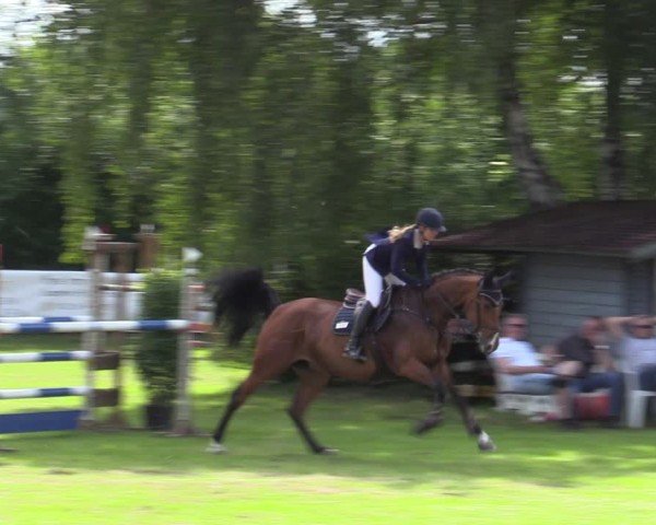 Reitturnier Scharnebeck 2025