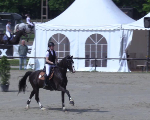Reitturnier Hamm-Rhynern 2025