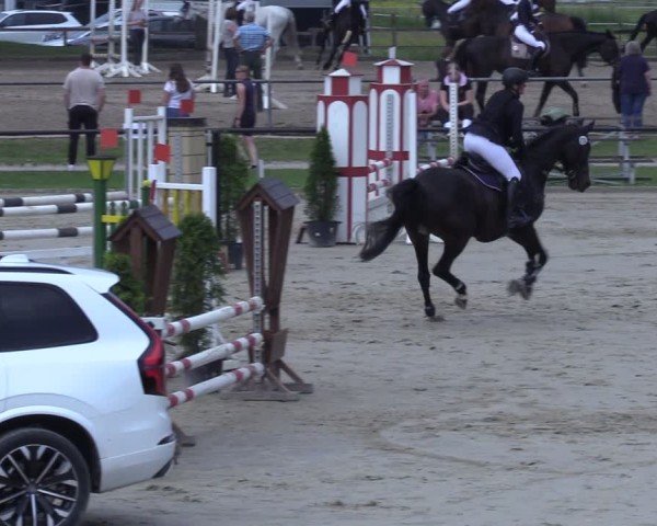 Reitturnier Hamm-Rhynern 2025