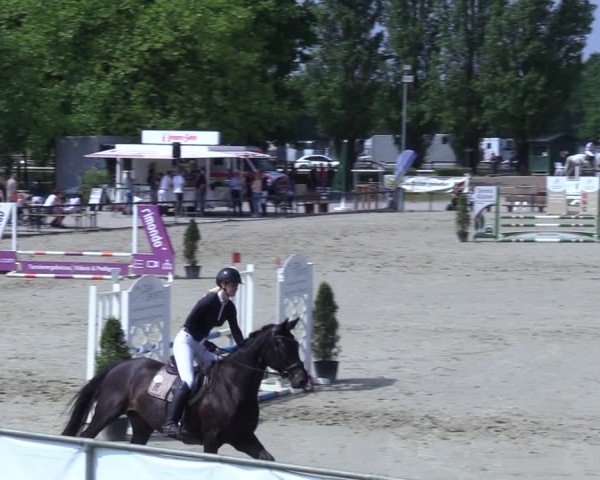 Reitturnier Hamm-Rhynern 2025