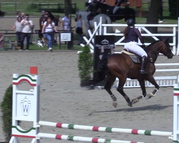 Reitturnier Hamm-Rhynern 2025