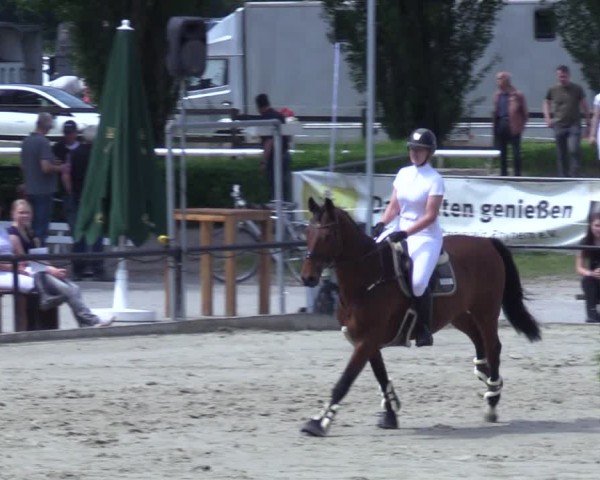 Reitturnier Hamm-Rhynern 2025