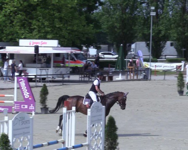 Reitturnier Hamm-Rhynern 2025