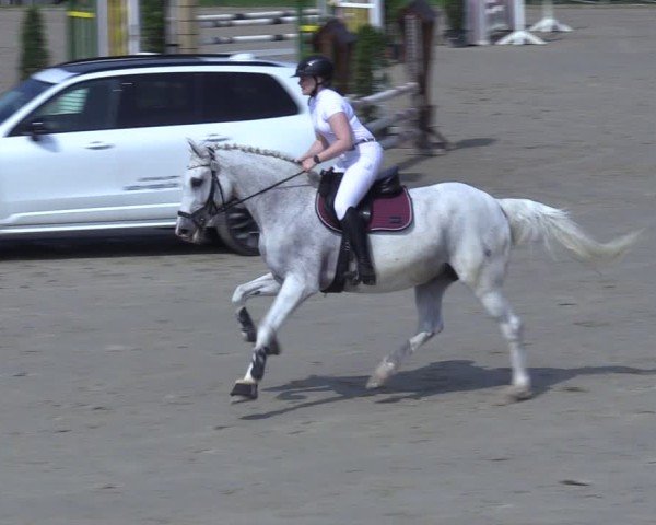 Reitturnier Hamm-Rhynern 2025