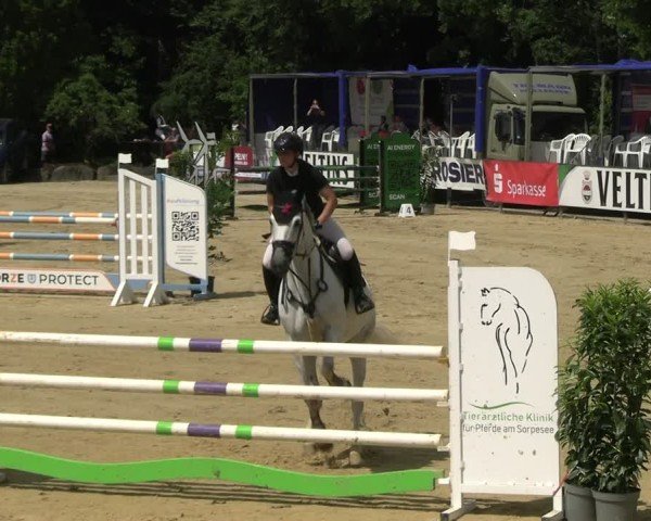Reitturnier Hellefeld 2025