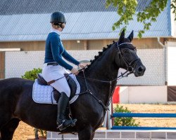 jumper Calina 129 (Mecklenburg, 2014, from Count Up)
