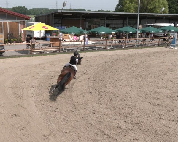 Reitturnier Kirchhellen/Stall Dieckmann 2025