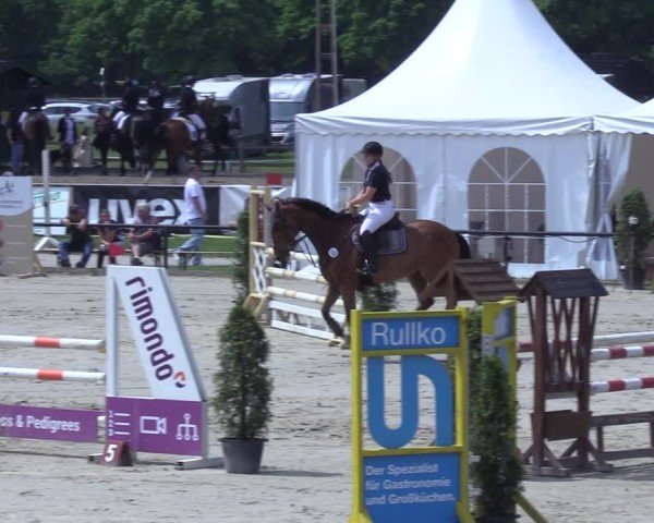 Reitturnier Hamm-Rhynern 2025