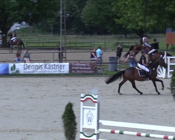 Reitturnier Hamm-Rhynern 2025