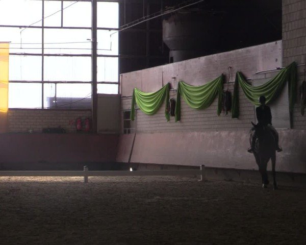 Reitturnier Hellefeld 2025