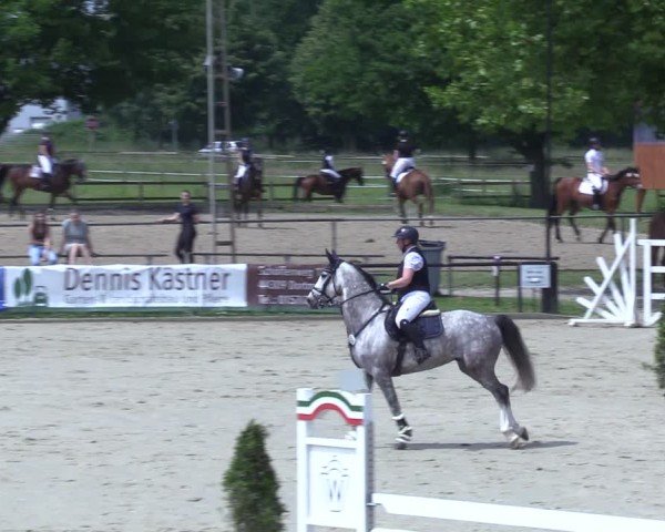 Reitturnier Hamm-Rhynern 2025