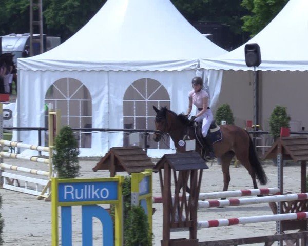 Reitturnier Hamm-Rhynern 2025