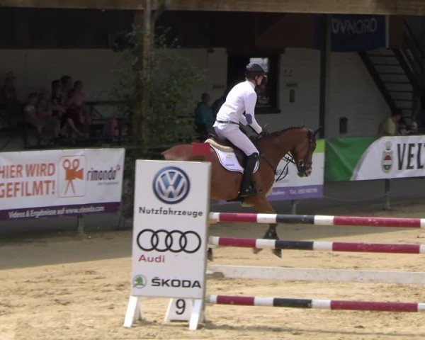 Reitturnier Hellefeld 2025