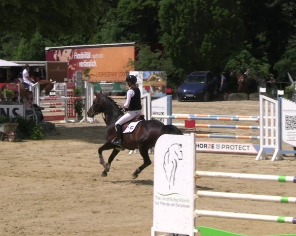 Reitturnier Hellefeld 2025